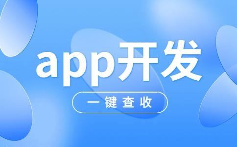 app软件怎么开发